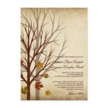 Fall