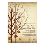Fall