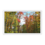 Fall Trees and Blue Sky Autumn Nature Photography Acrylic Tray