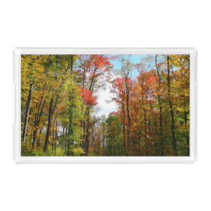 Fall Trees and Blue Sky Autumn Nature Photography Acrylic Tray
