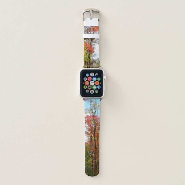 Fall Trees and Blue Sky Autumn Nature Photography Apple Watch Band (Front)