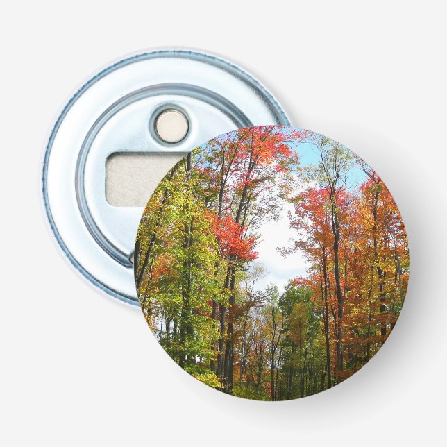 Fall Trees and Blue Sky Autumn Nature Photography Bottle Opener (Front)