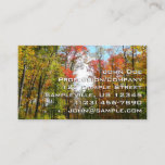 Fall Trees and Blue Sky Autumn Nature Photography Business Card
