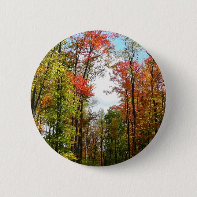 Fall Trees and Blue Sky Autumn Nature Photography Button (Front)