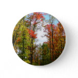 Fall Trees and Blue Sky Autumn Nature Photography Button