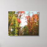 Fall Trees and Blue Sky Autumn Nature Photography Canvas Print