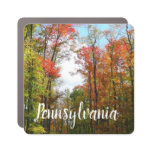 Fall Trees and Blue Sky Autumn Nature Photography Car Magnet