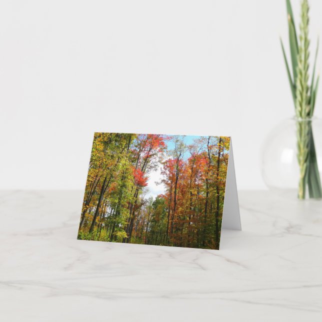 Fall Trees and Blue Sky Autumn Nature Photography Card (Front)