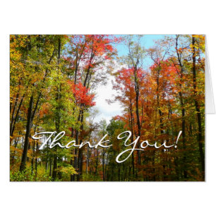 Fall Trees and Blue Sky Autumn Nature Photography Card