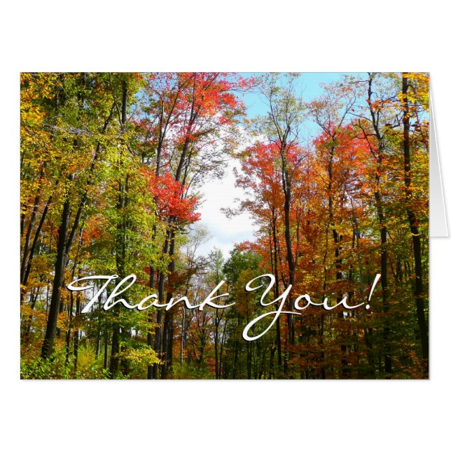 Fall Trees and Blue Sky Autumn Nature Photography Card (Front Horizontal)