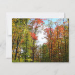 Fall Trees and Blue Sky Autumn Nature Photography Card