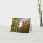Fall Trees and Blue Sky Autumn Nature Photography Card