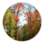 Fall Trees and Blue Sky Autumn Nature Photography Ceramic Knob