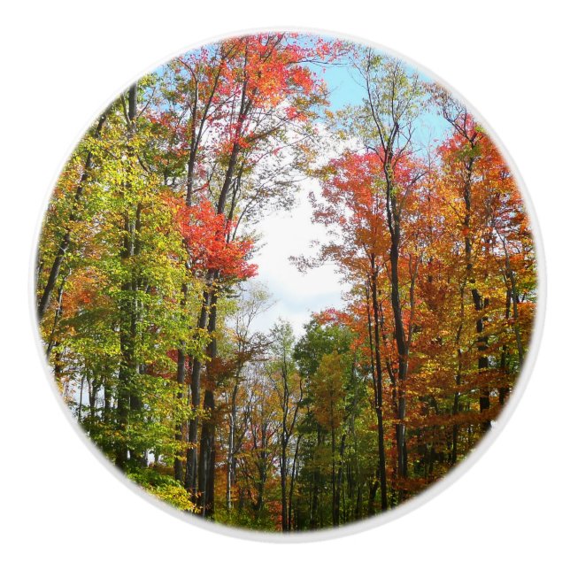 Fall Trees and Blue Sky Autumn Nature Photography Ceramic Knob (Front)