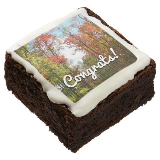 Fall Trees and Blue Sky Autumn Nature Photography Chocolate Brownie (Angled)