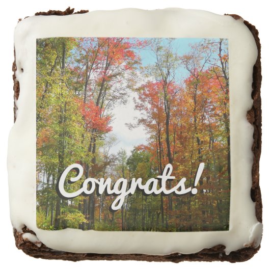 Fall Trees and Blue Sky Autumn Nature Photography Chocolate Brownie (Front)