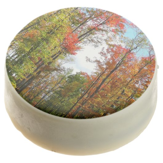 Fall Trees and Blue Sky Autumn Nature Photography Chocolate Covered Oreo (Angled)
