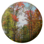 Fall Trees and Blue Sky Autumn Nature Photography Chocolate Covered Oreo