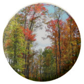 Fall Trees and Blue Sky Autumn Nature Photography Chocolate Covered Oreo (Front)