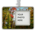Fall Trees and Blue Sky Autumn Nature Photography Christmas Ornament