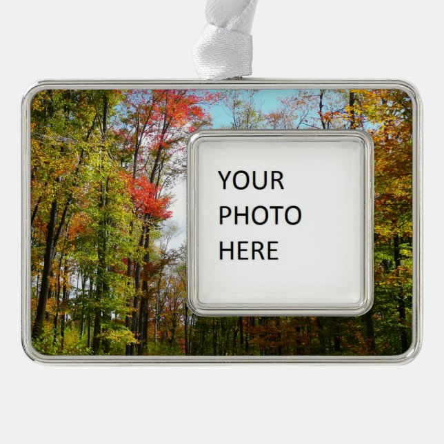 Fall Trees and Blue Sky Autumn Nature Photography Christmas Ornament (Front)