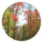 Fall Trees and Blue Sky Autumn Nature Photography Classic Round Sticker