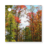 Fall Trees and Blue Sky Autumn Nature Photography Favor Tags