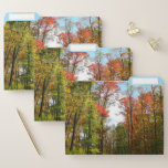 Fall Trees and Blue Sky Autumn Nature Photography File Folder