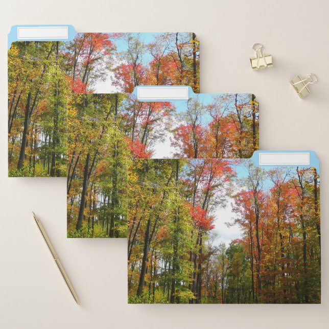 Fall Trees and Blue Sky Autumn Nature Photography File Folder (Set)