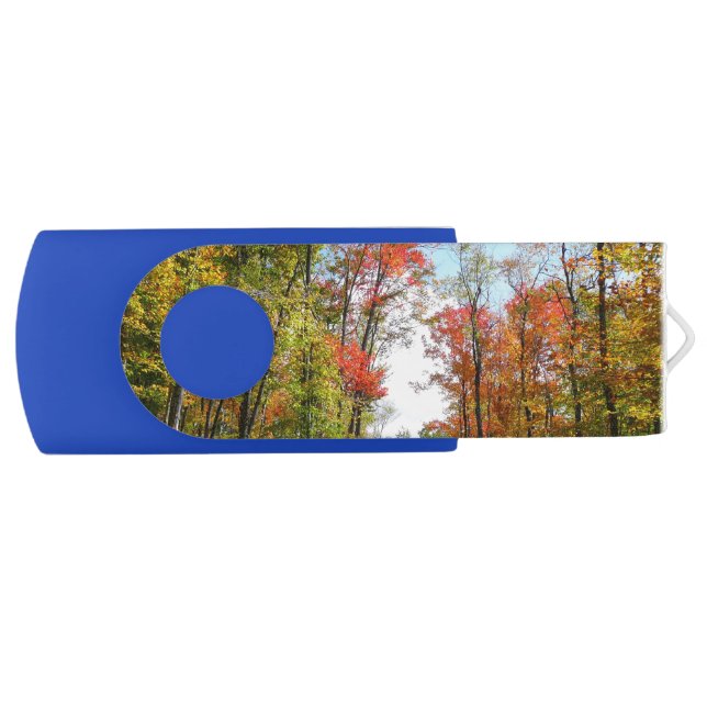 Fall Trees and Blue Sky Autumn Nature Photography Flash Drive (Front)