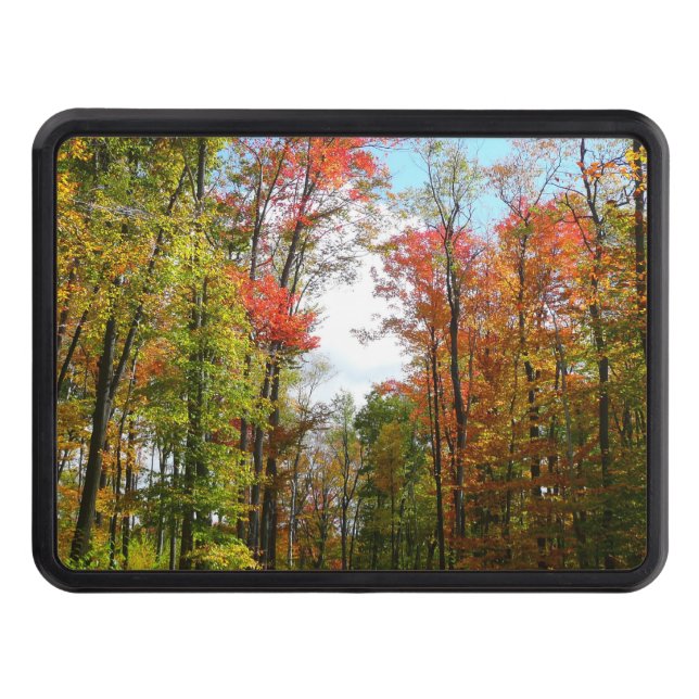 Fall Trees and Blue Sky Autumn Nature Photography Hitch Cover (Front)