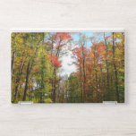 Fall Trees and Blue Sky Autumn Nature Photography HP Laptop Skin