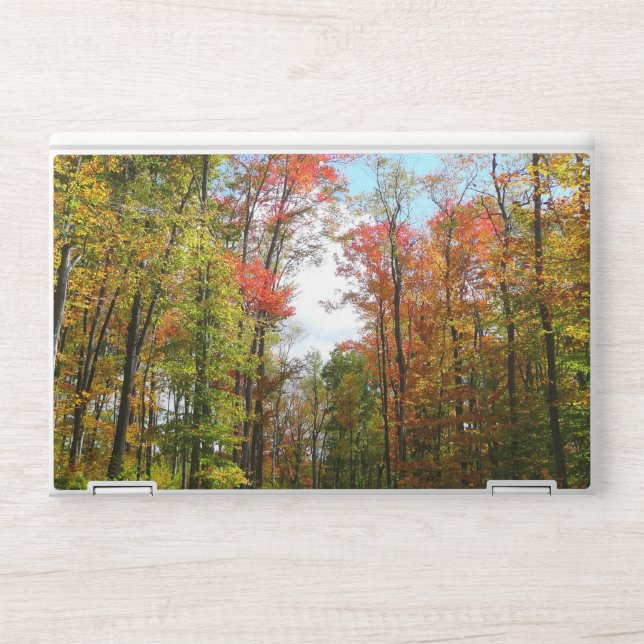Fall Trees and Blue Sky Autumn Nature Photography HP Laptop Skin (Front)