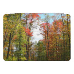 Fall Trees and Blue Sky Autumn Nature Photography iPad Pro Cover