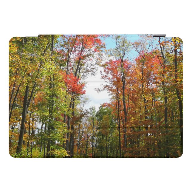 Fall Trees and Blue Sky Autumn Nature Photography iPad Pro Cover (Horizontal)