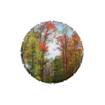 Fall Trees and Blue Sky Autumn Nature Photography Jelly Belly Candy Tin