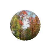 Fall Trees and Blue Sky Autumn Nature Photography Jelly Belly Candy Tin (Top)