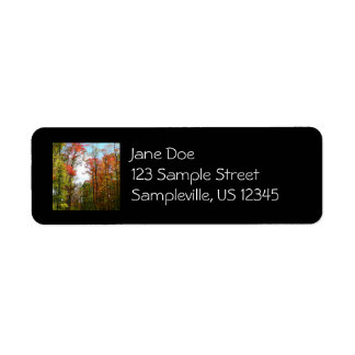 Fall Trees and Blue Sky Autumn Nature Photography Label