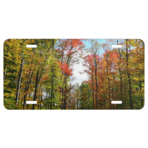 Fall Trees and Blue Sky Autumn Nature Photography License Plate