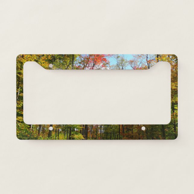 Fall Trees and Blue Sky Autumn Nature Photography License Plate Frame (Front)