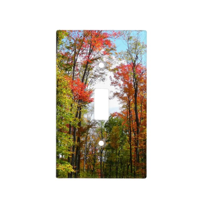 Fall Trees and Blue Sky Autumn Nature Photography Light Switch Cover (Front)