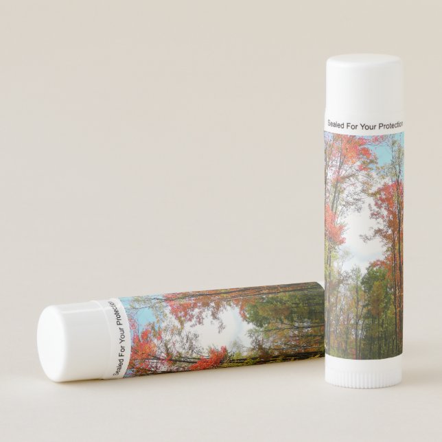 Fall Trees and Blue Sky Autumn Nature Photography Lip Balm (Front)