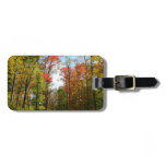 Fall Trees and Blue Sky Autumn Nature Photography Luggage Tag