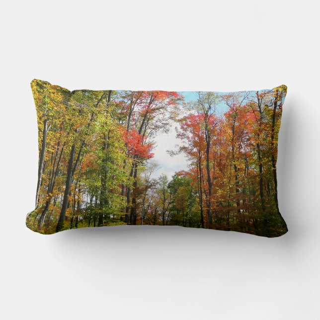 Fall Trees and Blue Sky Autumn Nature Photography Lumbar Pillow (Front)