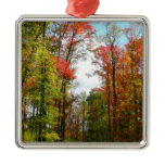 Fall Trees and Blue Sky Autumn Nature Photography Metal Ornament