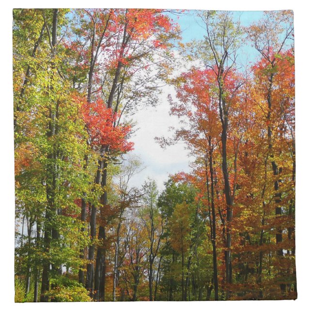 Fall Trees and Blue Sky Autumn Nature Photography Napkin (Front)