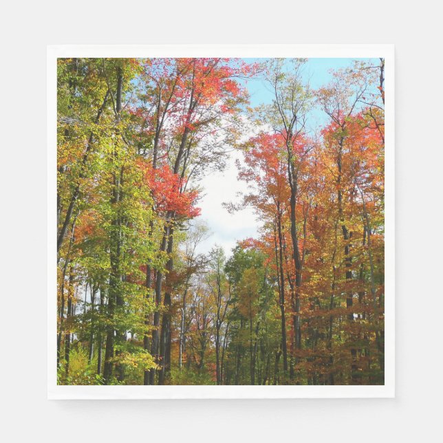 Fall Trees and Blue Sky Autumn Nature Photography Napkins (Front)
