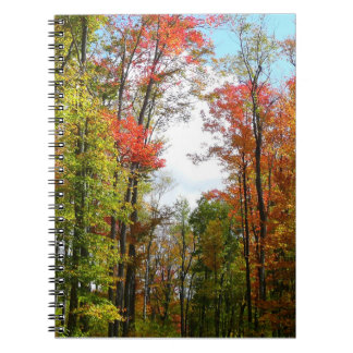 Fall Trees and Blue Sky Autumn Nature Photography Notebook