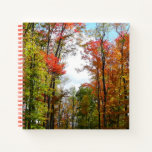 Fall Trees and Blue Sky Autumn Nature Photography Notebook