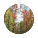Fall Trees and Blue Sky Autumn Nature Photography Ornament